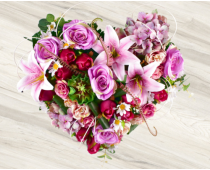 scr30504_lavande_1578724074