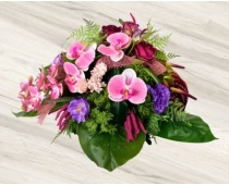 scs25007-3_2058927397